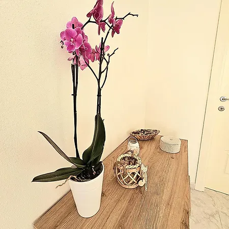 Mary Near Villasimius Villa