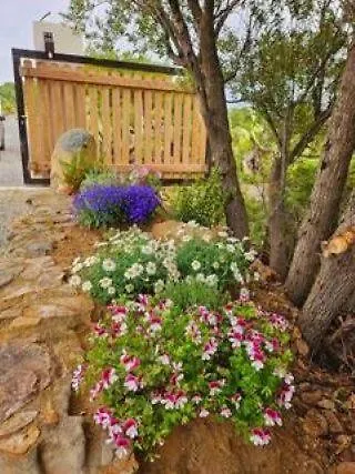 Mary Near Villasimius Villa *